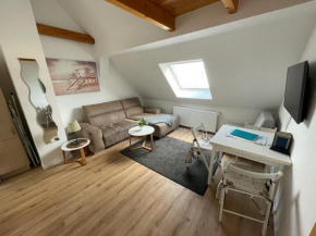 Apartment SCHLEUSENTOR - Ferienwohnung Maisonette in Rostock